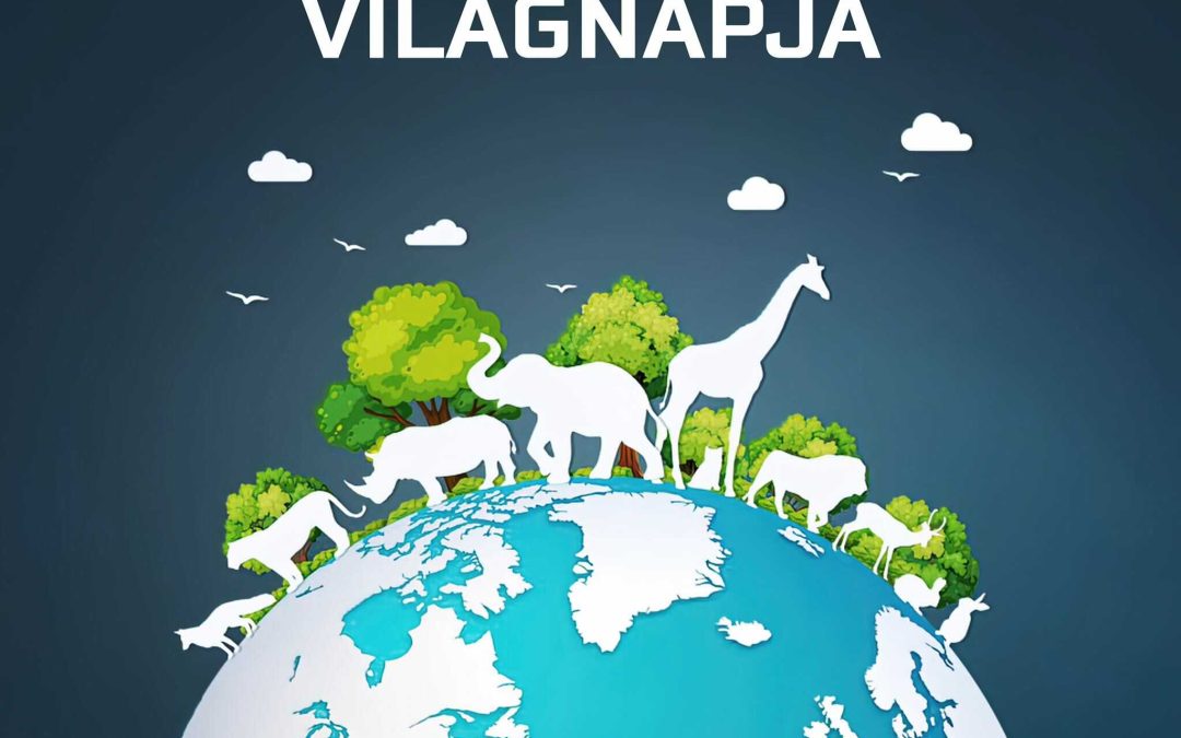 Tulipános Bölcsőde – Állatok világnapja – 2025.