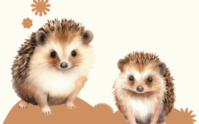 Szúrós gombóc jár a bölcsiben..