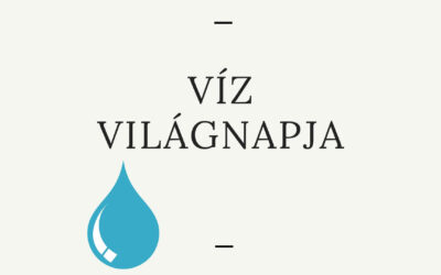 Víz világnapja